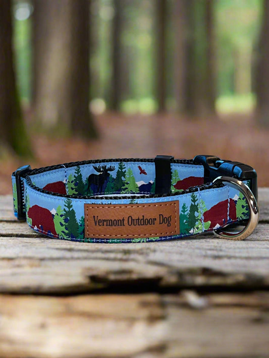 Dog Collar S Adjustable 12-16"