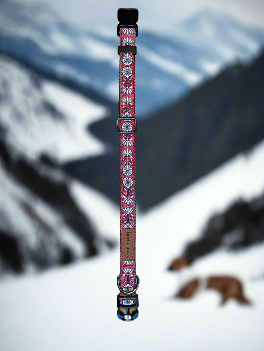 Dog Collar M Adjustable 16-21"