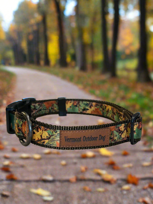 Dog Collar S Adjustable 12-16"