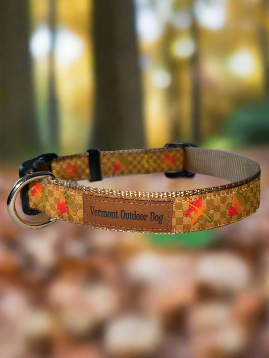 Dog Collar S Adjustable 12-16"