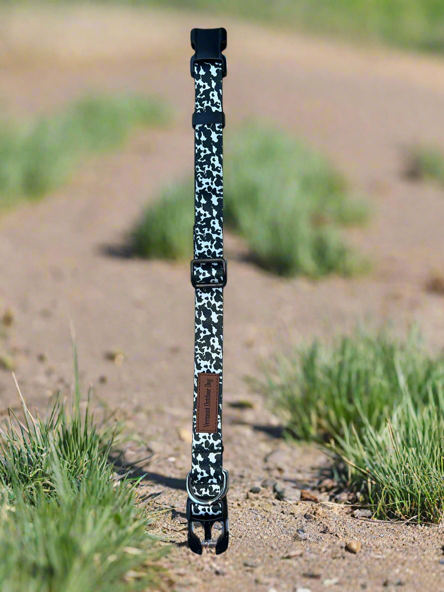 Dog Collar L Adjustable 21-28"