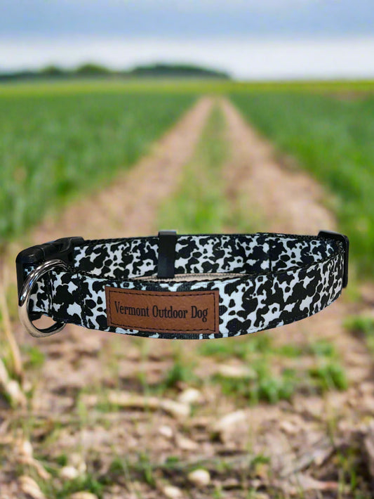 Dog Collar L Adjustable 21-28"