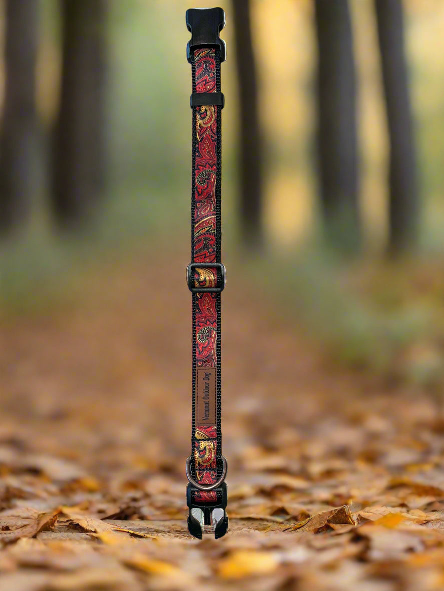 Dog Collar L Adjustable 21-28"