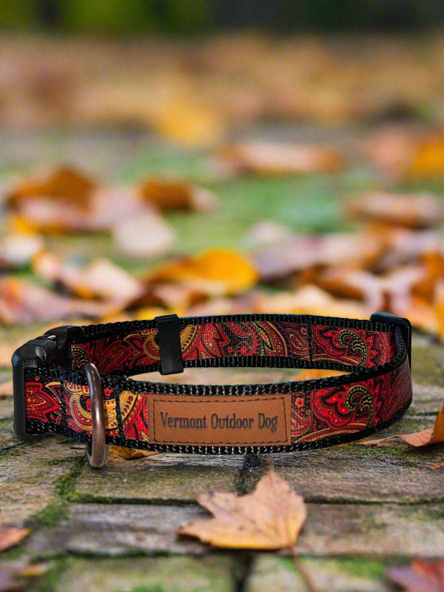 Dog Collar L Adjustable 21-28"