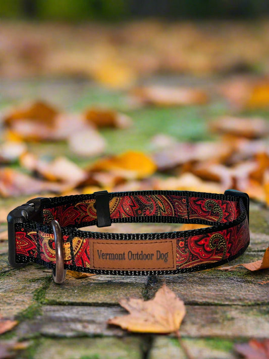 Dog Collar M Adjustable 16-21"