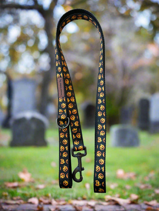 6 Foot Dog Leash  1 " Width