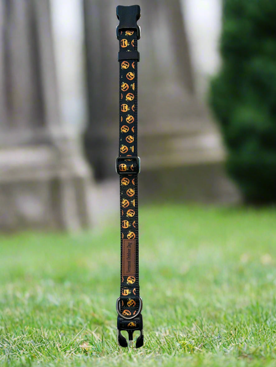 Dog Collar M Adjustable 16-21"