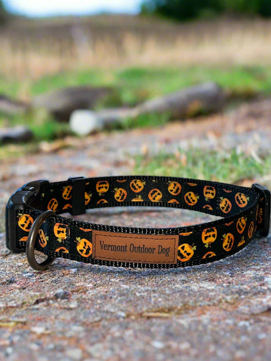 Dog Collar M Adjustable 16-21"