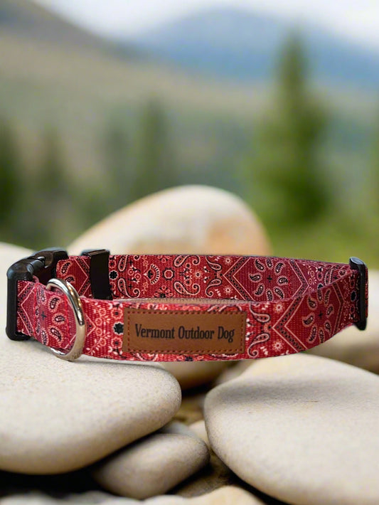 Dog Collar M Adjustable 16-21"