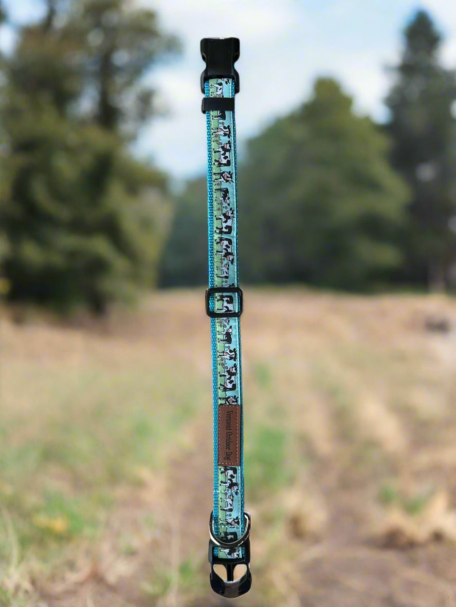Dog Collar M Adjustable 16-21"