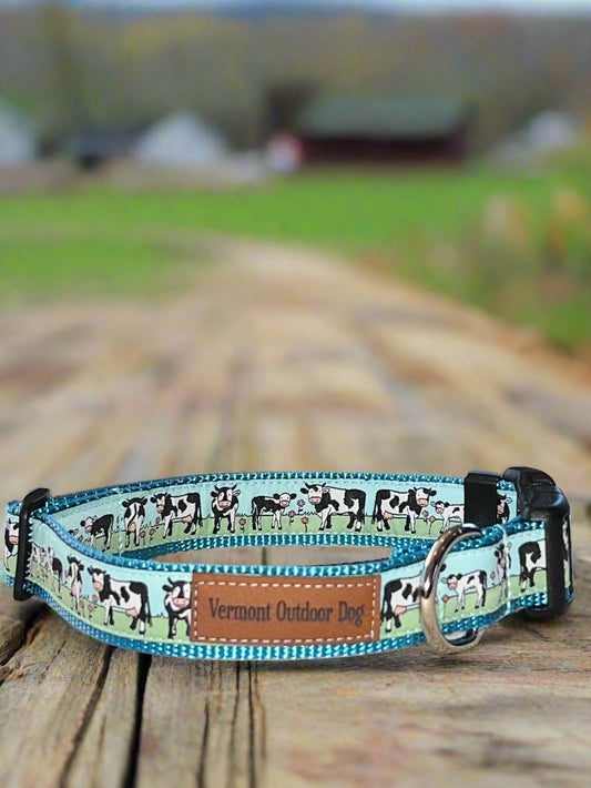 Dog Collar M Adjustable 16-21"