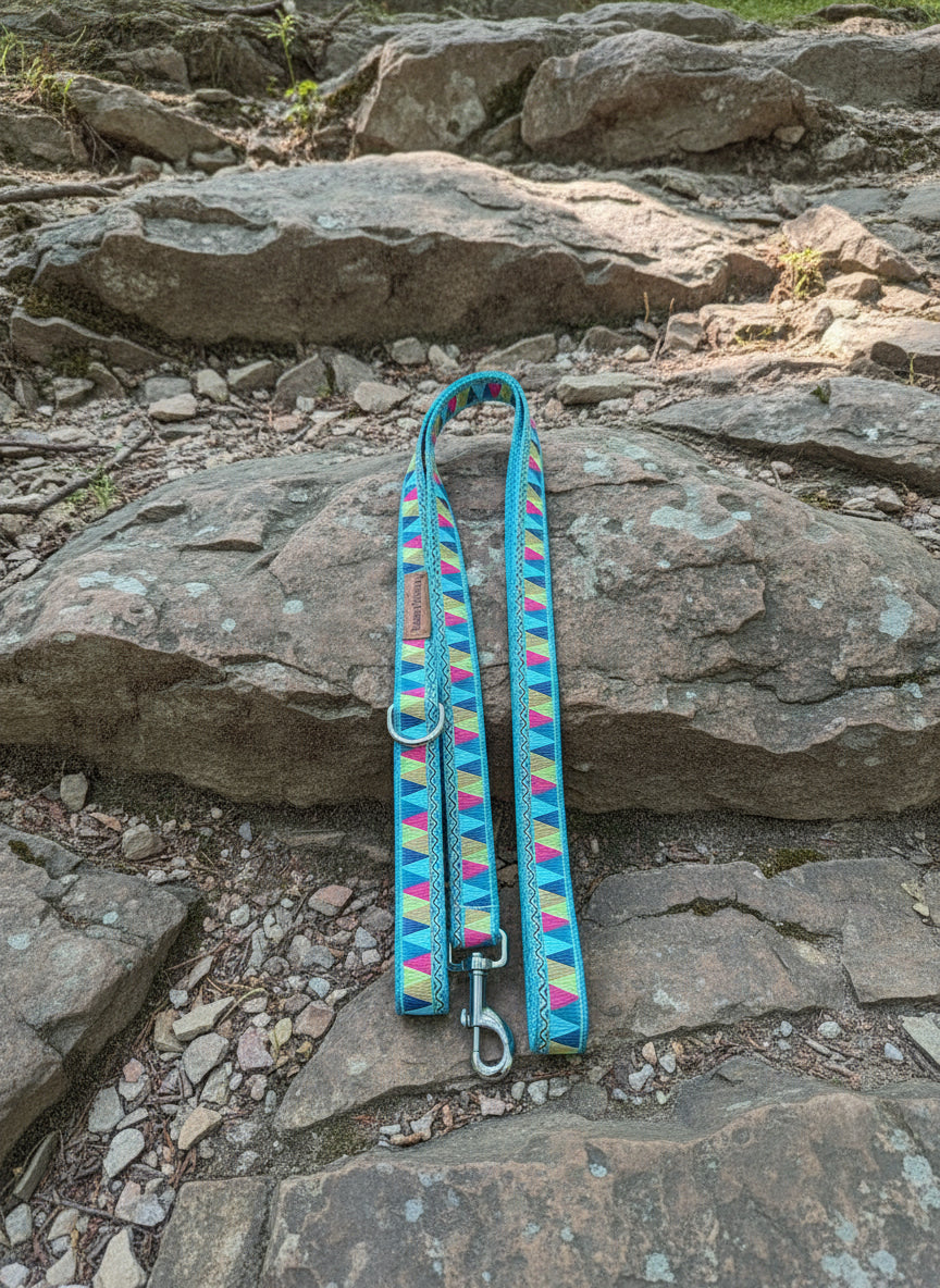 6 Foot Dog Leash  1 " Width