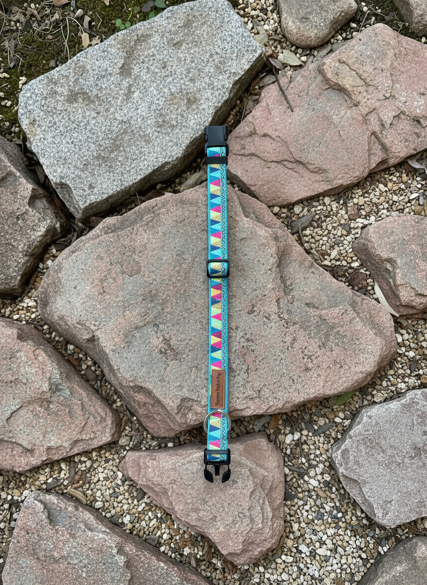 Dog Collar M Adjustable 16-21"