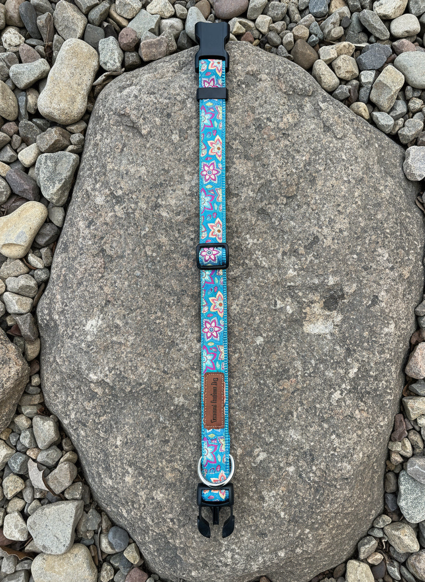 Dog Collar M Adjustable 16-21"