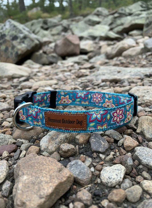 Dog Collar L Adjustable 21-28"