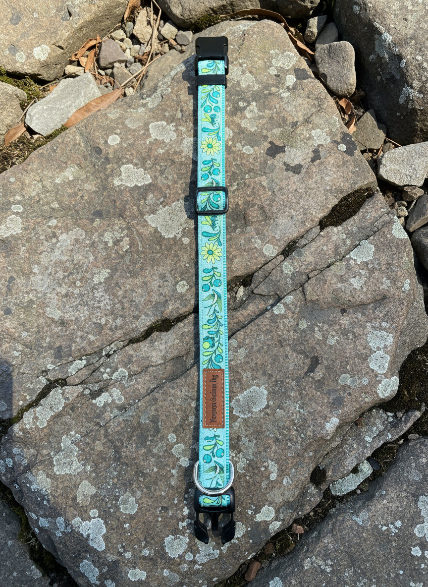 Dog Collar M Adjustable 16-21"