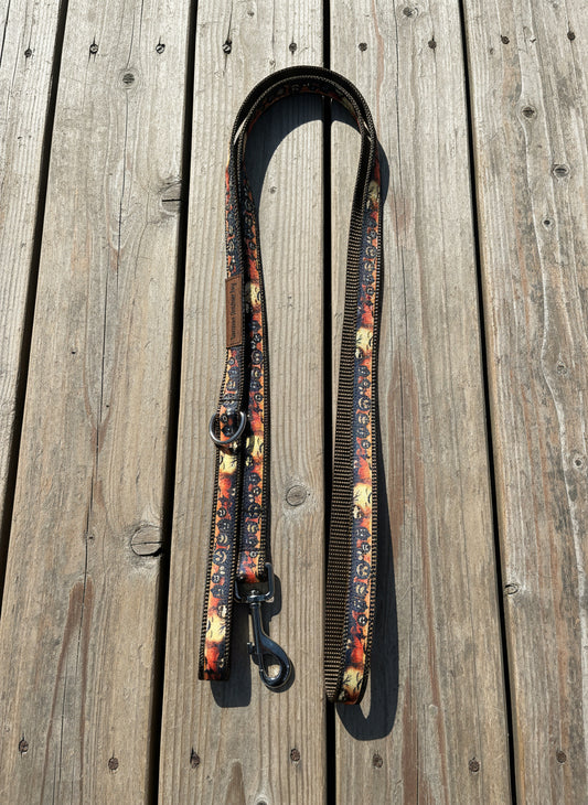 6 Foot Dog Leash 3/4" Width