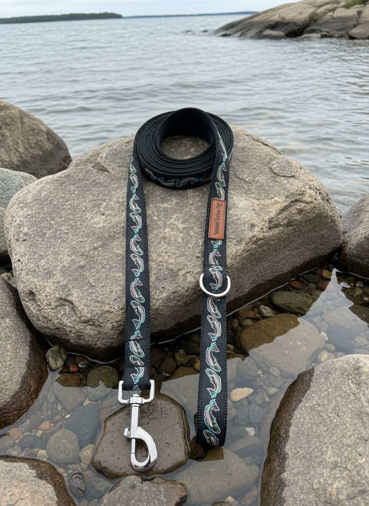 10 Foot Dog Leash  1 " Width