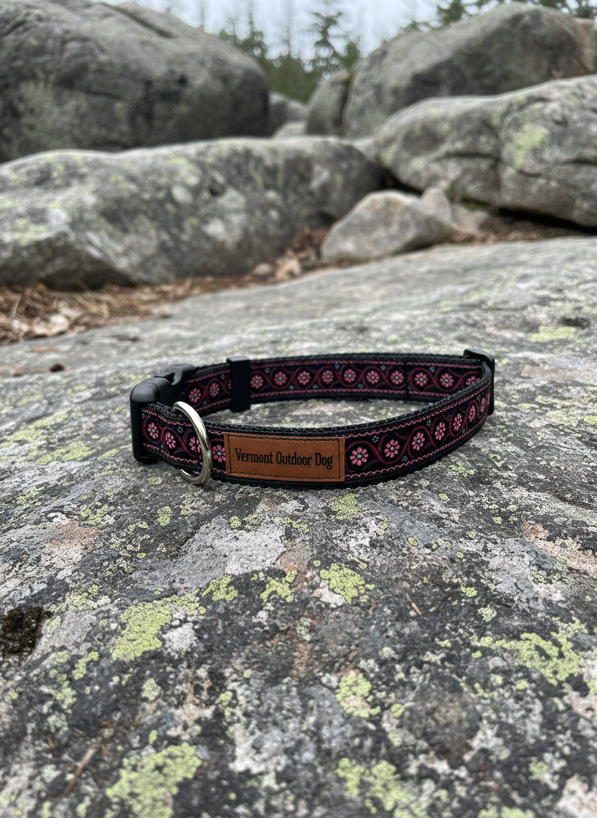 Dog Collar M Adjustable 16-21"