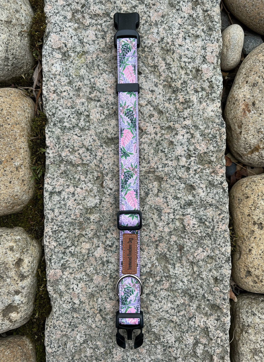 Dog Collar M Adjustable 16-21"