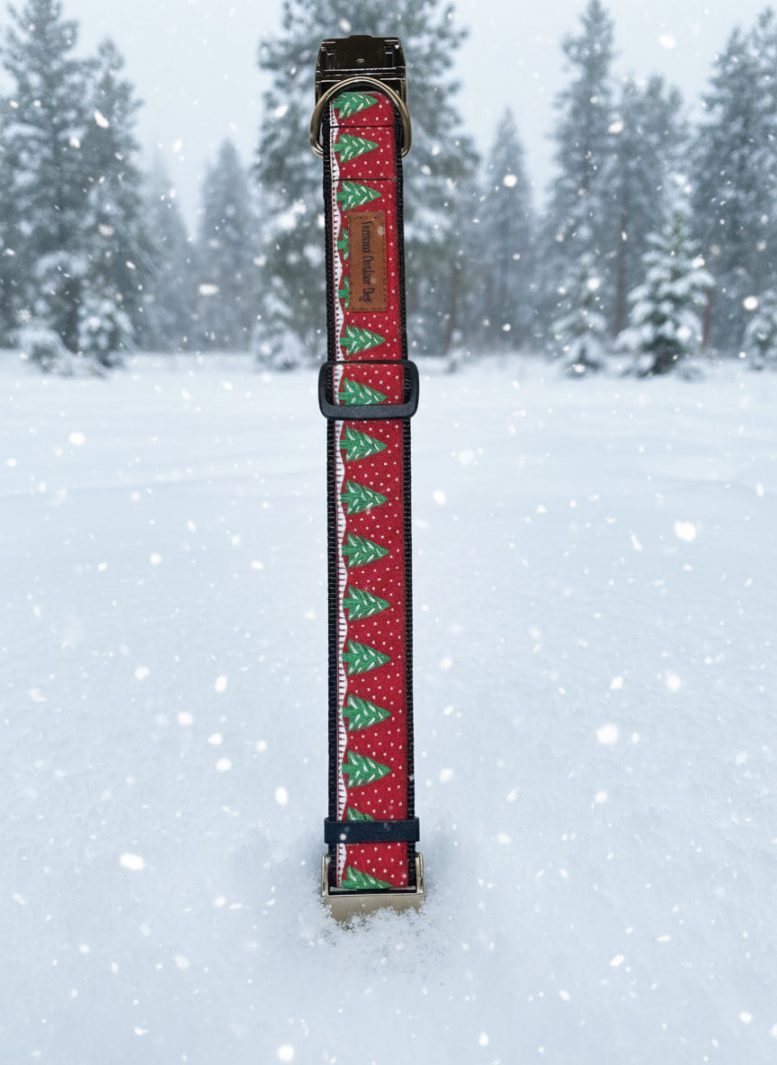 Dog Collar M Wide Adjustable 16-21" Heavy Duty Metal Buckle