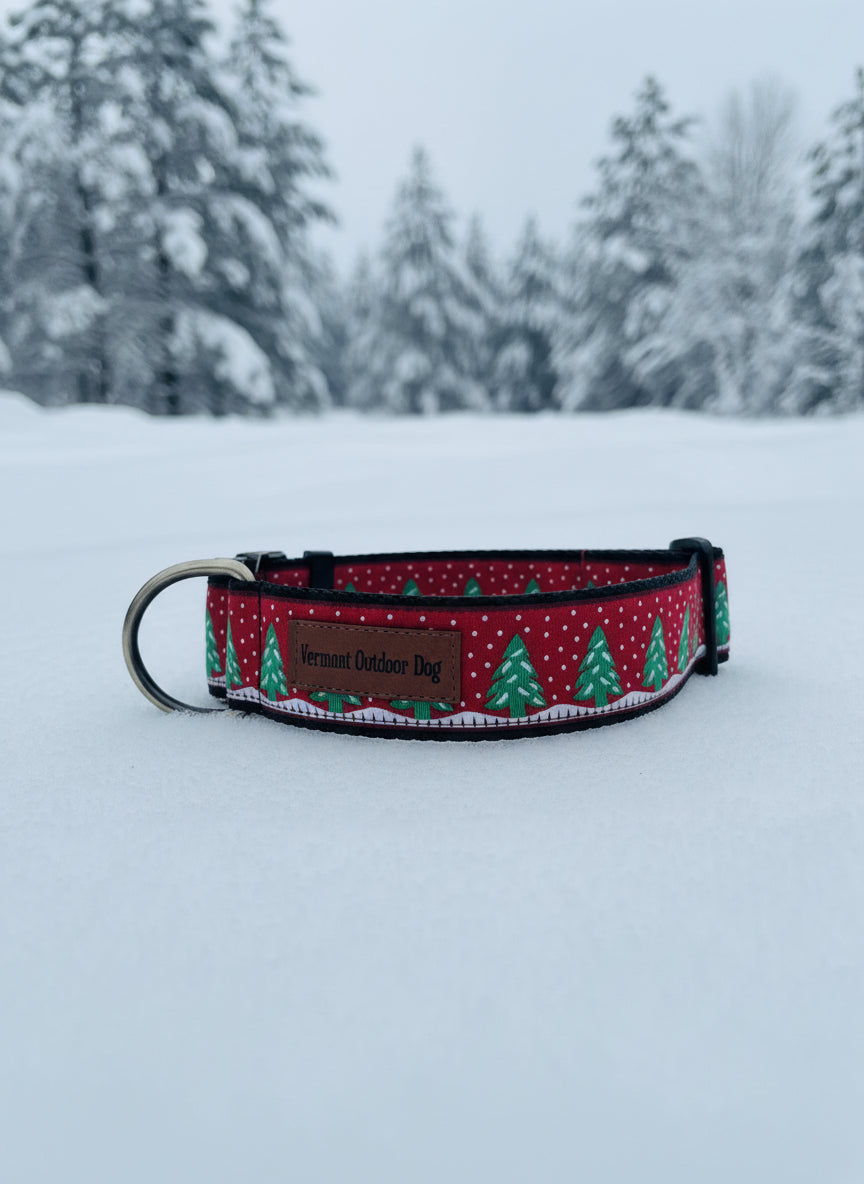 Dog Collar M Wide Adjustable 16-21" Heavy Duty Metal Buckle