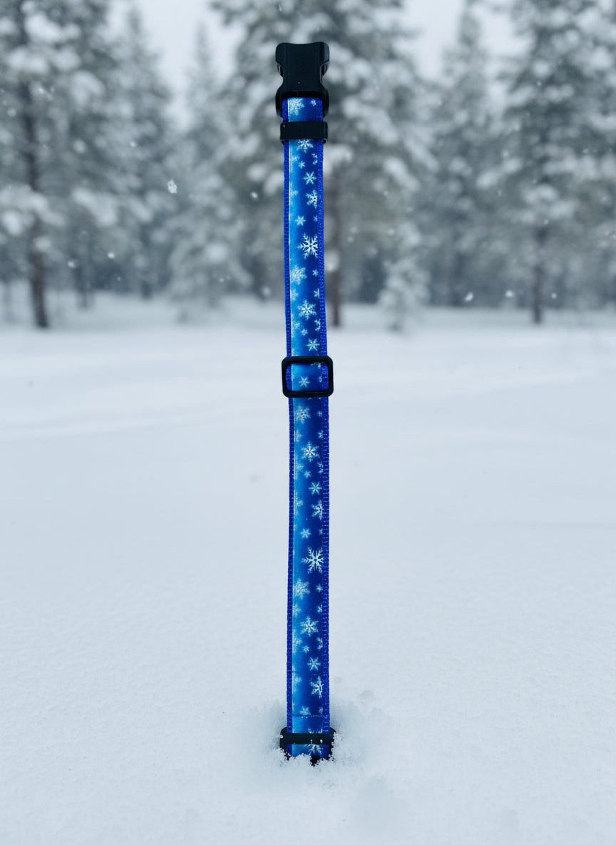 Dog Collar S Adjustable 12-16"