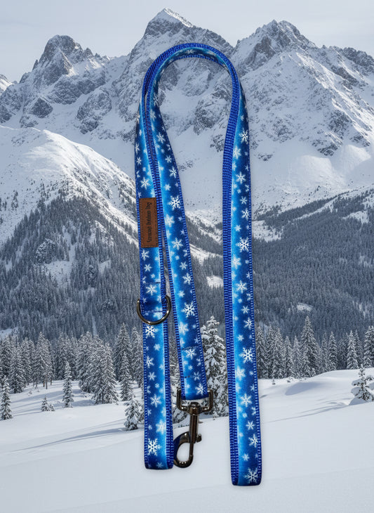 6 Foot Dog Leash  1 " Width