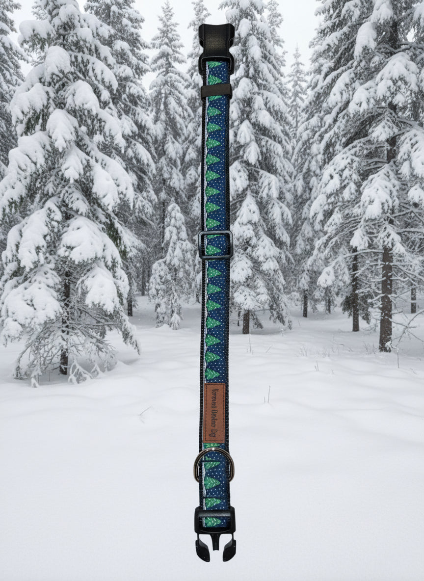 Dog Collar S Adjustable 12-16"