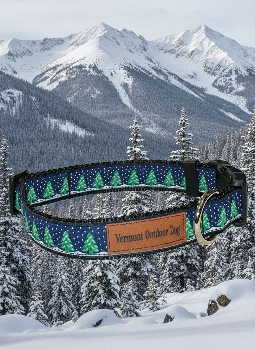 Dog Collar S Adjustable 12-16"