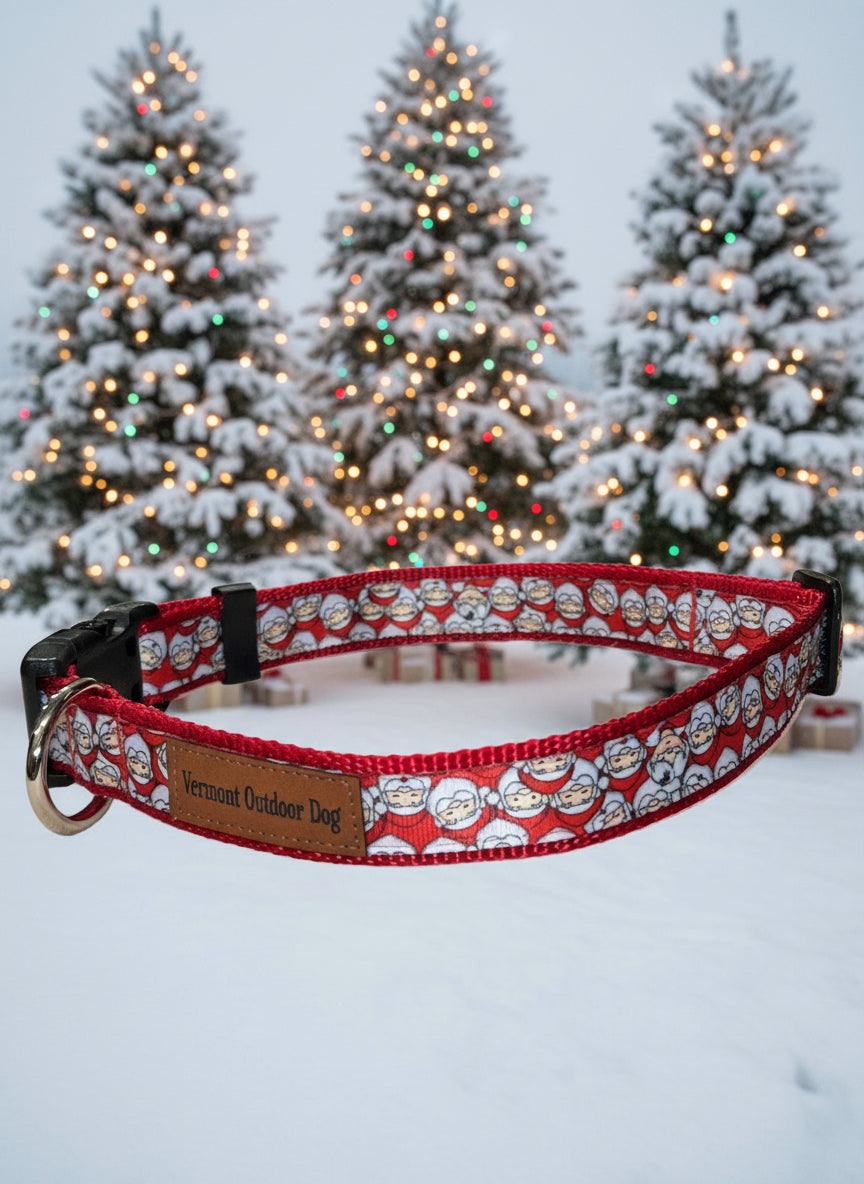 Dog Collar L Adjustable 21-28"