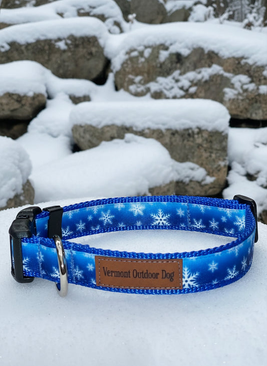 Dog Collar S Adjustable 12-16"