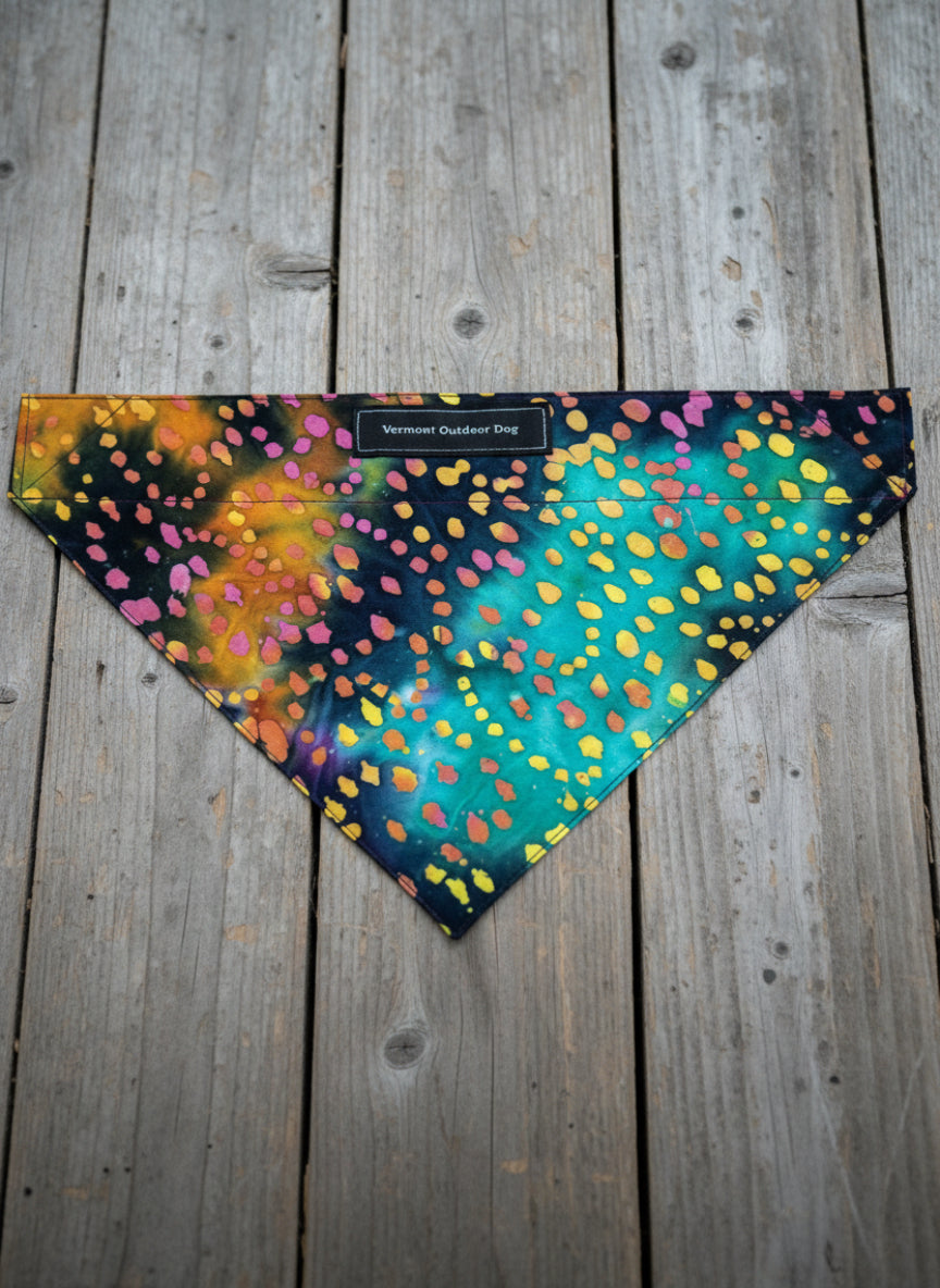 Dog Collar Bandana EXTRA LARGE