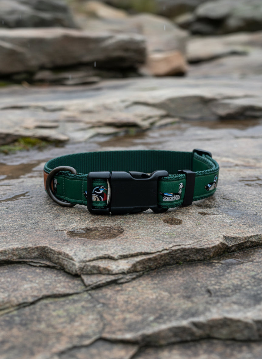 Dog Collar L Adjustable 21-28"
