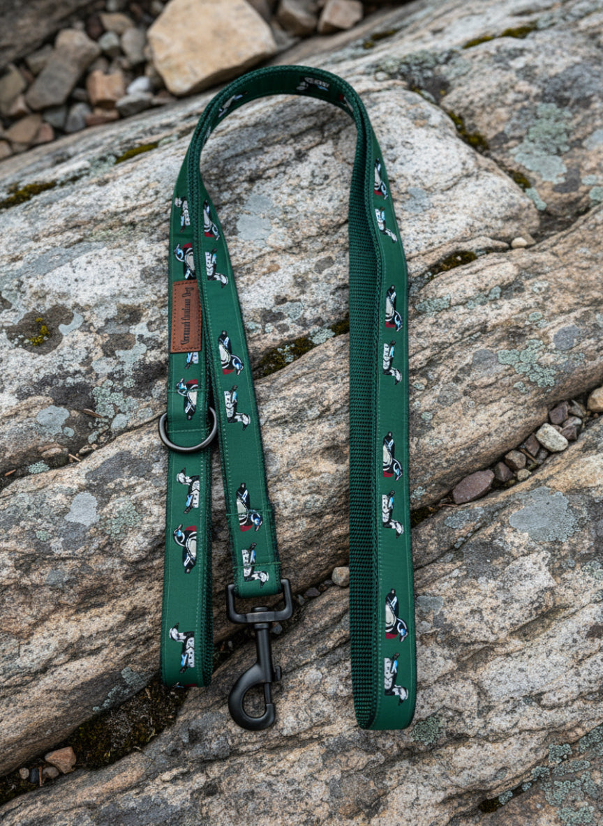 6 Foot Dog Leash  1 " Width