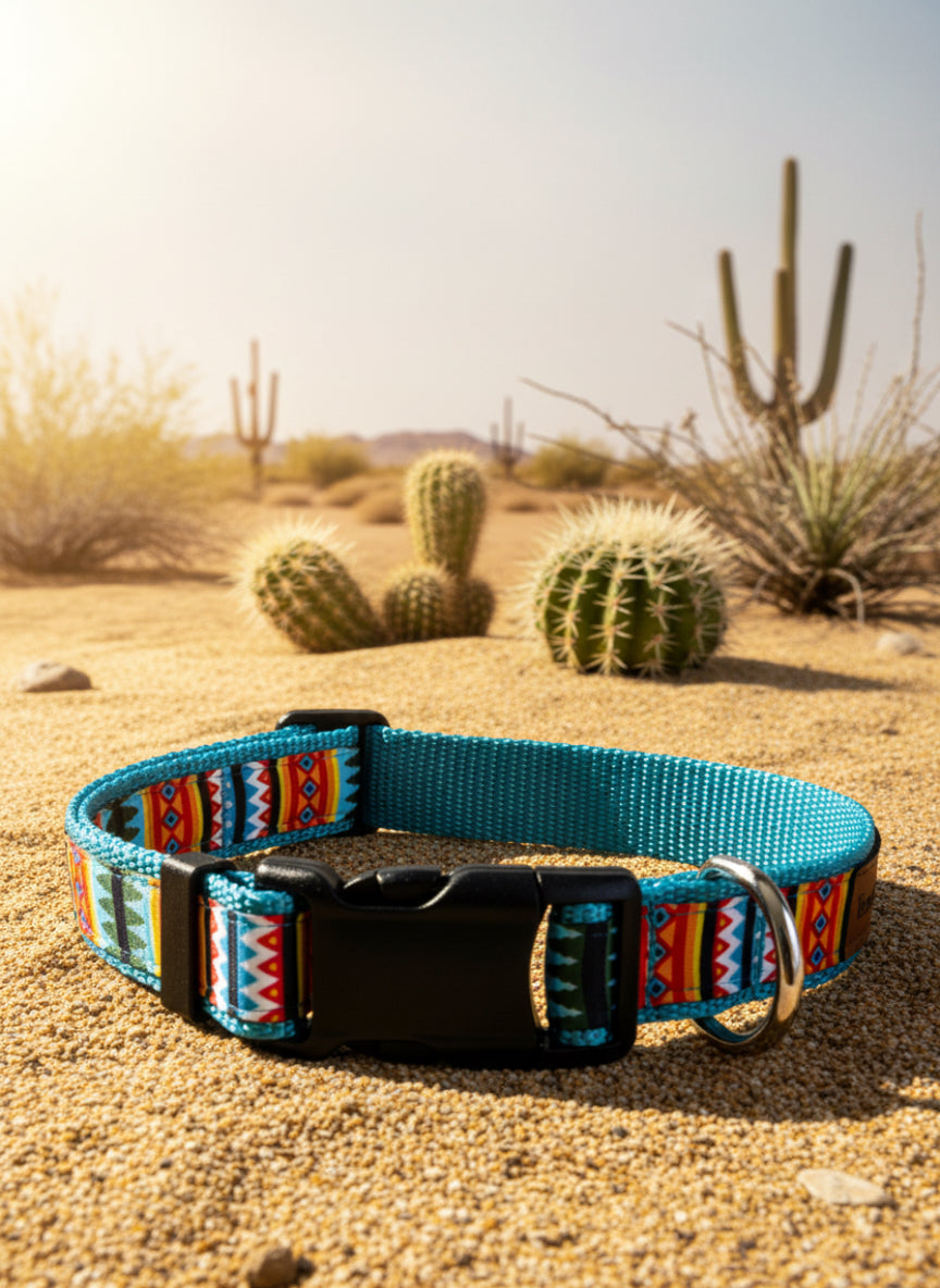 Dog Collar M Adjustable 16-21"