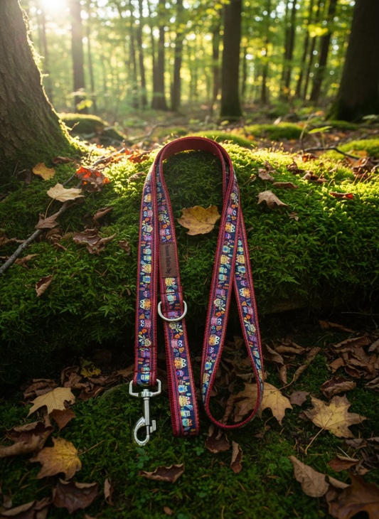 6 Foot Dog Leash  1 " Width