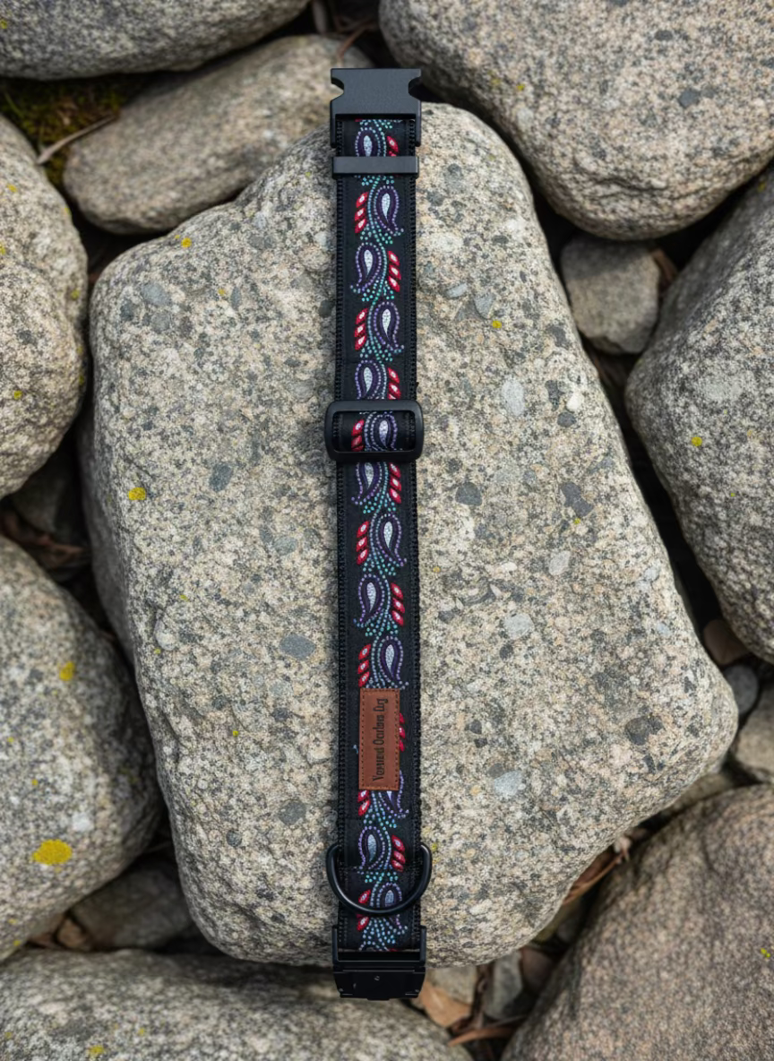 Dog Collar M Wide Adjustable 16-21" Metal Buckle
