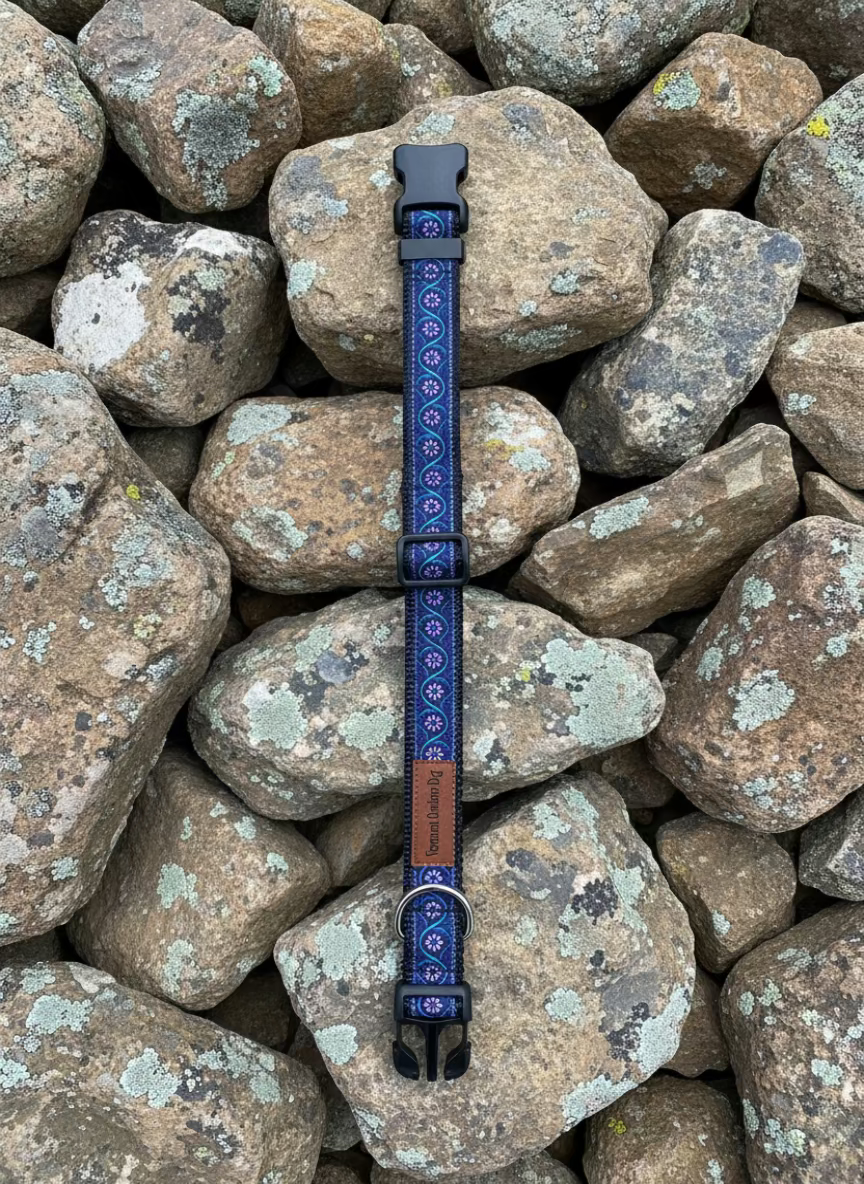 Dog Collar M Adjustable 16-21"