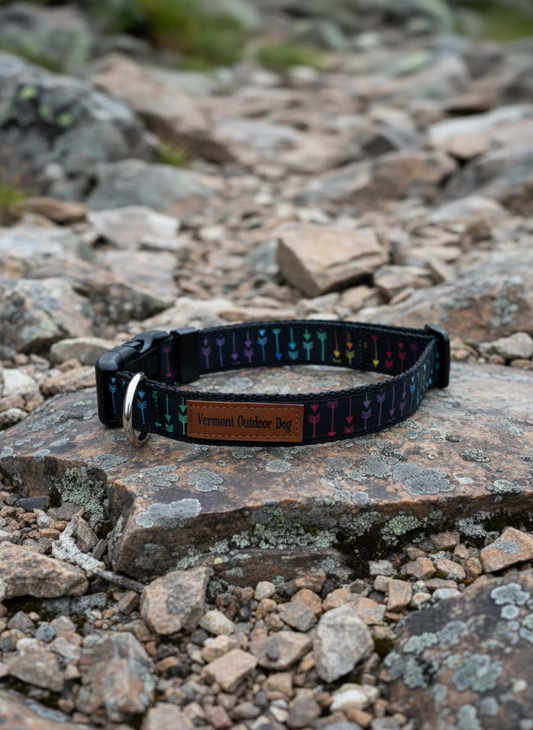 Dog Collar L Adjustable 21-28"