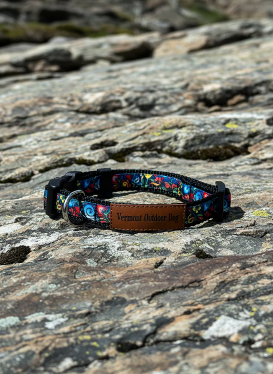 Dog Collar S Adjustable 12-16"
