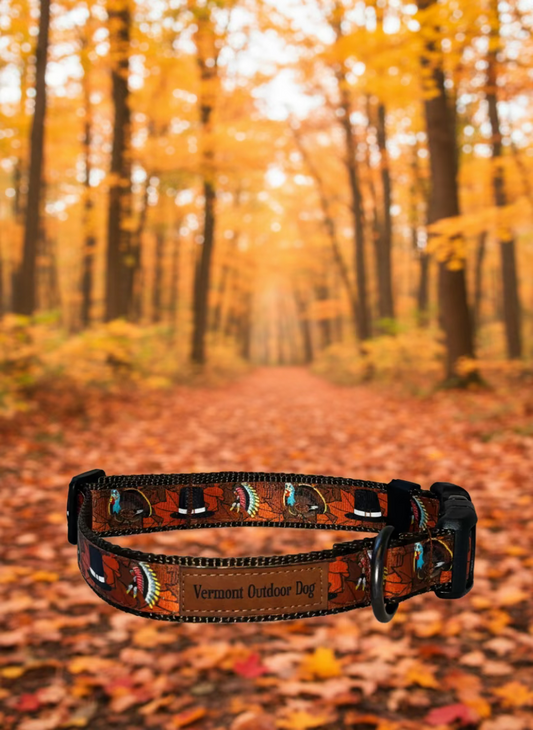 Dog Collar S Adjustable 12-16"
