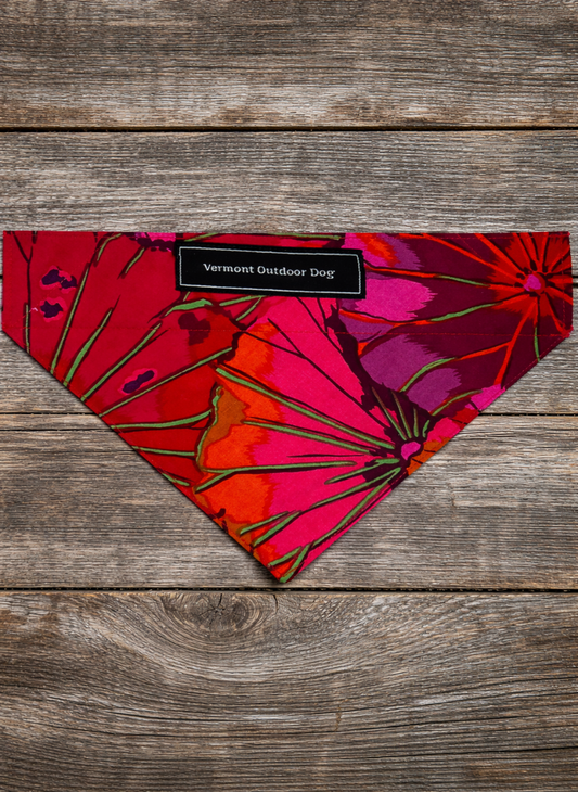Dog Collar Bandana Medium
